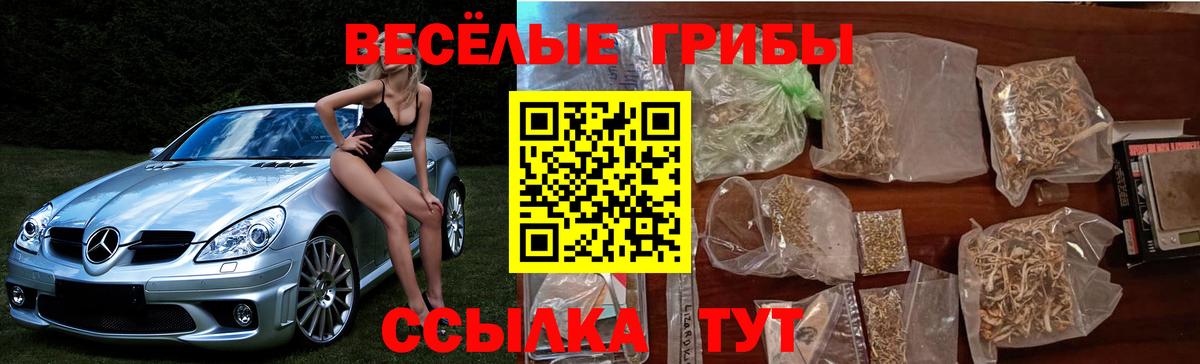 Псилоцибиновые грибы Psilocybine cubensis  Вход с VPN  Железноводск 